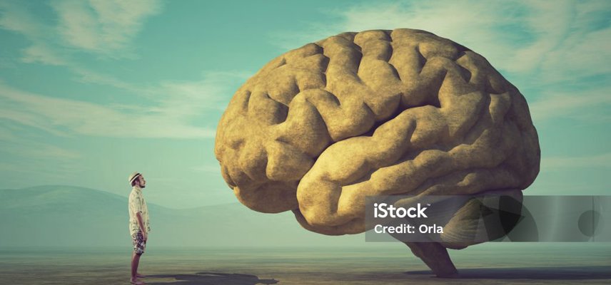 Istockphoto 924291506 1024X1024